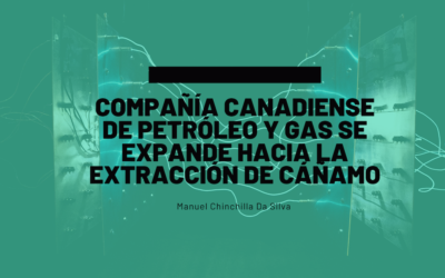 Compañía canadiense de petróleo y gas se expande hacia la extracción de cáñamo